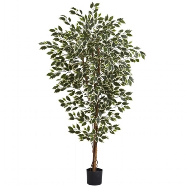 Dare2Decor 6 ft. Hawaiian Ficus Tree x3 With 1008 Leaves - DA420798