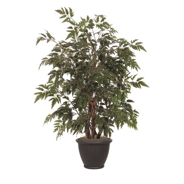 Vickerman 4 ft. Artificial Ming Aralia Bush in Brown Plastic Container, Green - TBU0640-RB