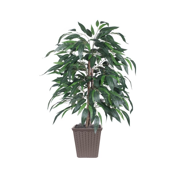 Dare2Decor 4 ft. Artificial Mango Bush in Square Brown Container, Green - DA3259134