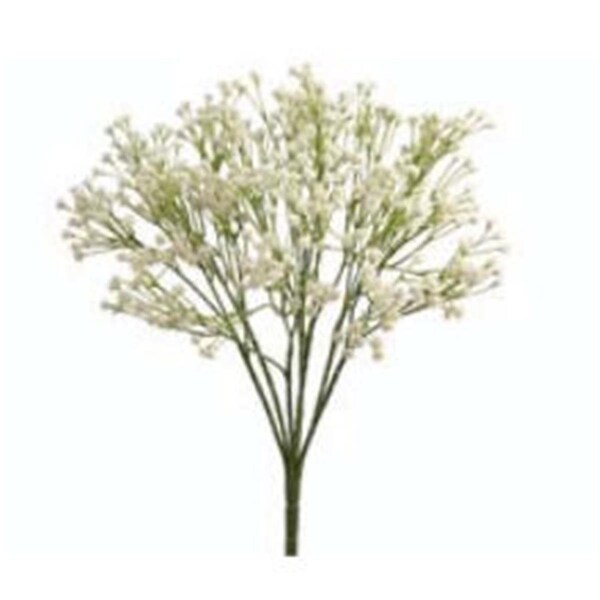 Allstate 15 in. Cream Baby ft.s Breath Bush X7-, 24PK - FBG483-CR