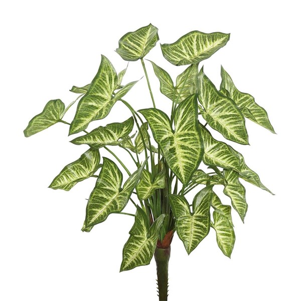 Vickerman 22 in. Syngonium Bush Featuring with 25 Leaves, Green - FB171901