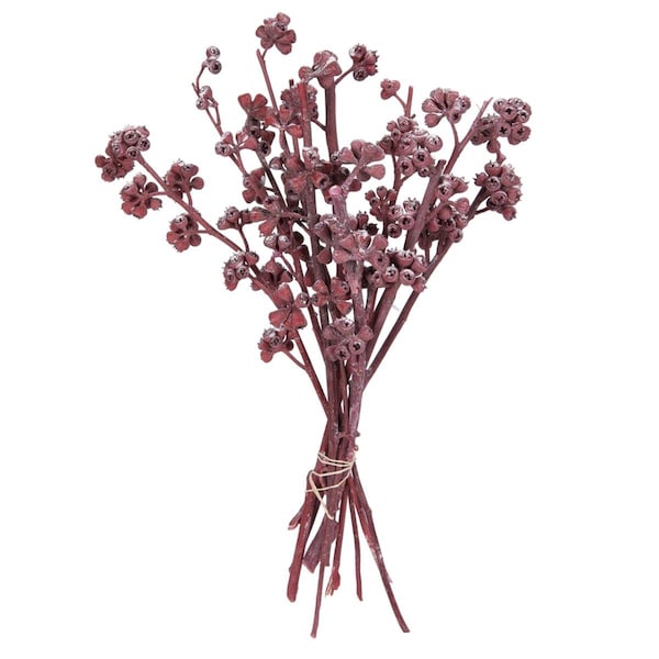 Dare2Decor 13 x 1-3 in. Frosted Branch, Red - 14 Piece - DA2159216