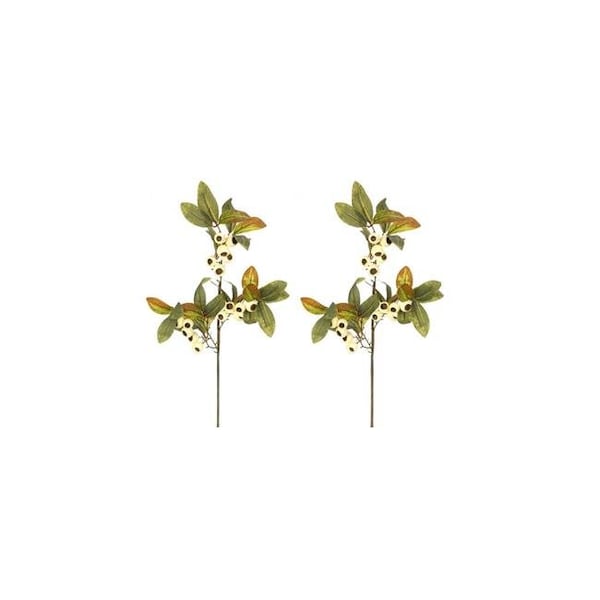 Adlmired By Nature Admired by Nature ABN3L001-CRM-2 29 in. Realistic Faux Loquat Fruit Spray Fall Decor; Cream - Set of 2 - ABN3L001-CRM-2