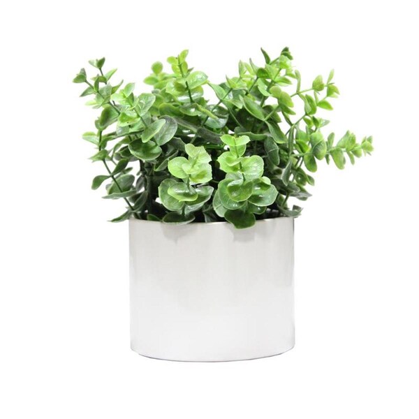 Adlmired By Nature Admired by Nature ABN5P022-NTRL-E Artificial Eucalyptus Plant with Ceramic Pot - Green - ABN5P022-NTRL-E
