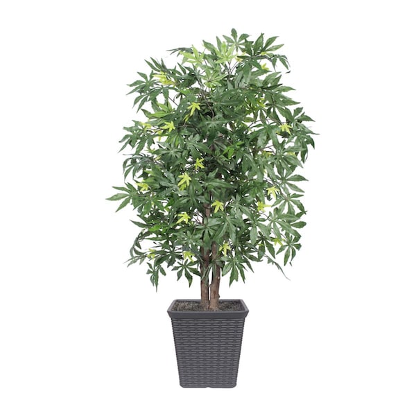 Dare2Decor 4 ft. Japanese Maple Bush Square Grey Container Decorative Plant, Green - DA3269820
