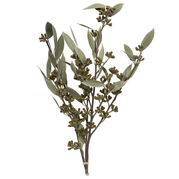 Vickerman 8 in. Amber Fruit Foliage, Natural Sulphured - 3.5 oz - H1AMB000