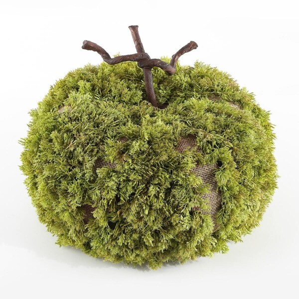 Safavieh 15 in. Faux Decorative Artificial Moss Pumpkin, Green - FXP1068A