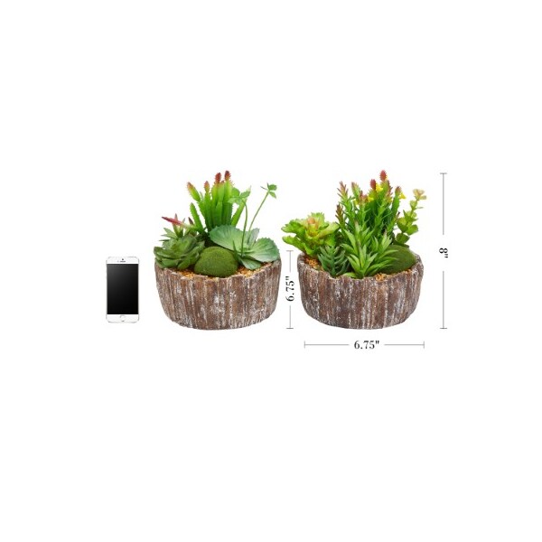Nature Spring Nature Spring Set of 2 Faux Succulent Arrangements - 385965IIN
