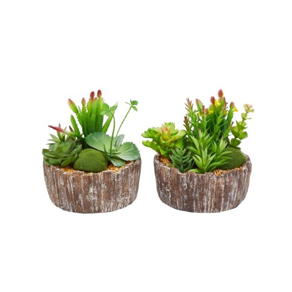 Nature Spring Nature Spring Set of 2 Faux Succulent Arrangements - 385965IIN