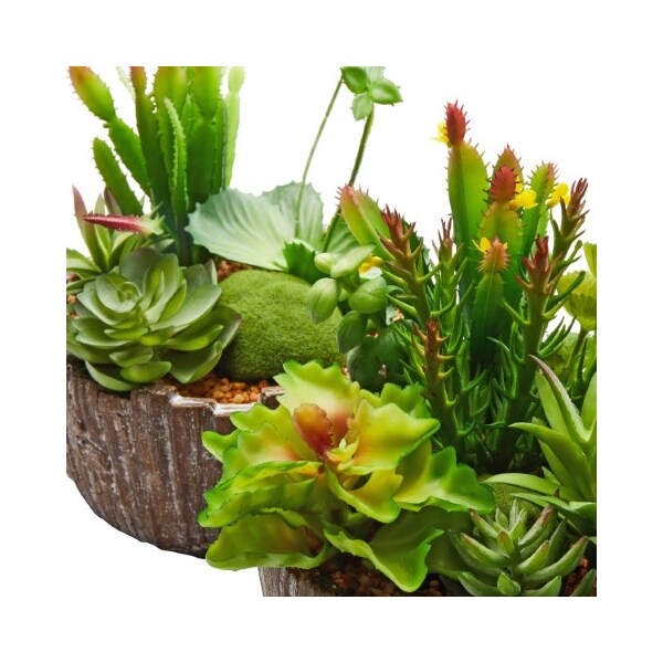 Nature Spring Nature Spring Set of 2 Faux Succulent Arrangements - 385965IIN