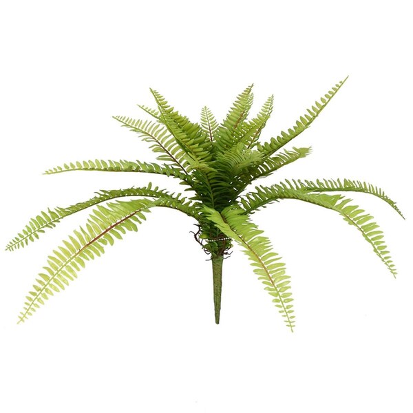 Vickerman 19 in. Green Long Fern Spray - FJ180501
