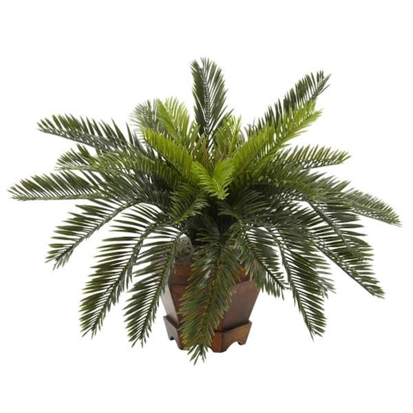 Nearly Natural Silk Cycas with Hexagon Vase Silk Plant - 6657