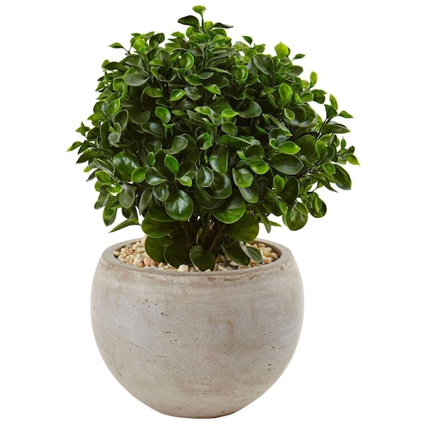 Nearlynatural 2 ft. Eucalyptus in Sand Colored Bowl UV Resistant - 6993
