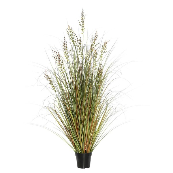 Dare2Decor 48 in. Grass in PotGreen & Brown - DA1236115