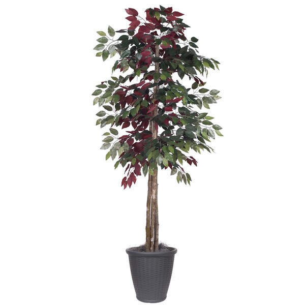 Dare2Decor 6 ft. Capensia Deluxe Round Grey Container Decorative Plant, Green & Red - DA3259135