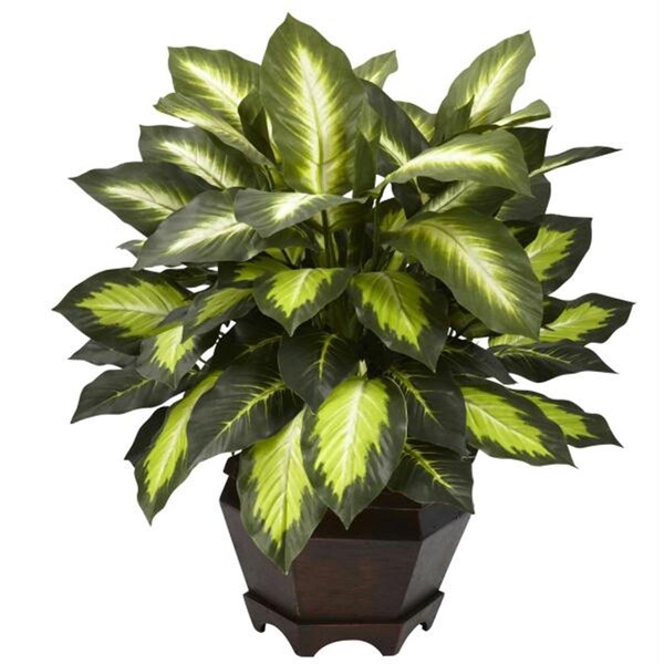 Nearly Natural Triple Golden Dieffenbachia with Wood Vase - 6720