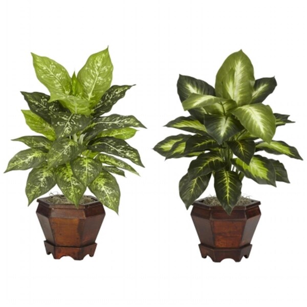 Nearly Natural Dieffenbachia with Wood Vase Silk Plant -Set of 2, 2PK - 6712-S2-AS