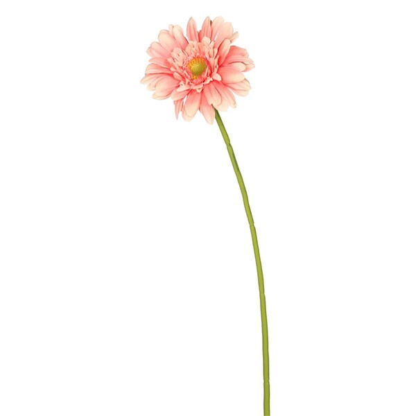 Vickerman 21 in. Gerbera Daisy-Lite-Pink - FH170701