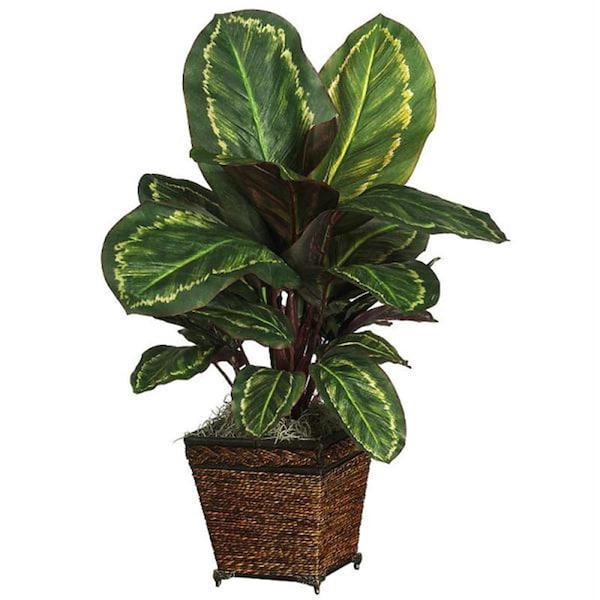 Nearly Natural Maranta with Basket Silk Plant - 6590-0506