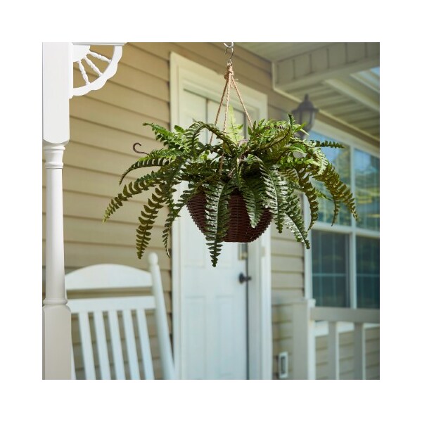 Nature Spring Faux Boston Fern, Hanging and Lifelike Artificial Arrangement and Imitation Greenery with Basket - 834795IQP