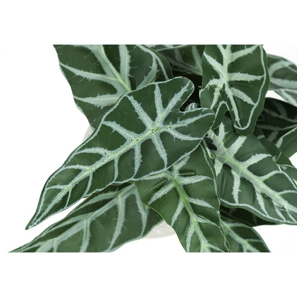 Monarch Specialties Artificial Plant, 8" Tall, Alocasia, Indoor, Faux, Fake, Table, Greenery, Potted, Set Of 2 - I 9582
