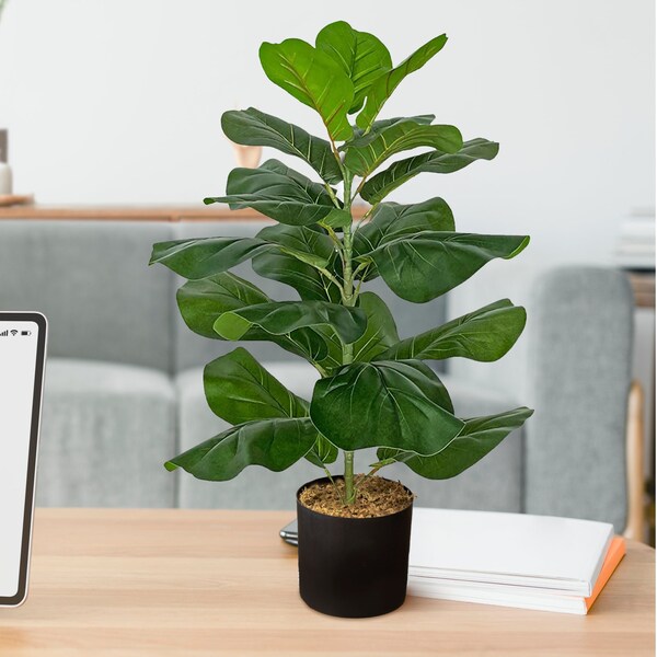 Forever Leaf Faux 2.5 ft. Ficus Lyrata Plant - FL02101