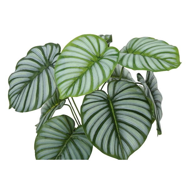 Monarch Specialties Artificial Plant, 24" Tall, Calathea, Indoor, Faux, Fake, Table, Greenery, Potted, Real Touch - I 9577
