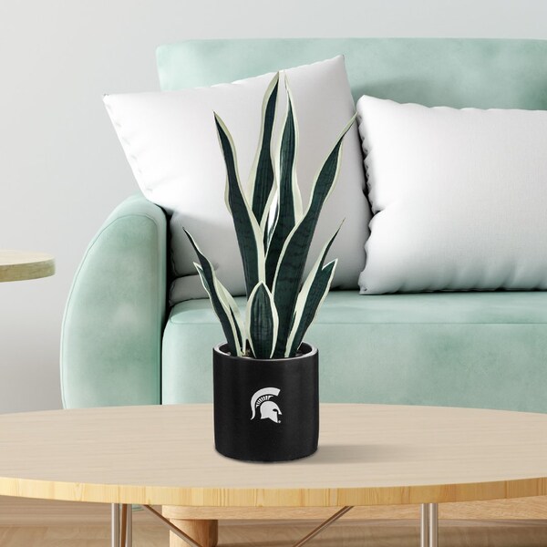 Forever Leaf Michigan State Faux Snake Plant w/Ceramic Pot - FL05109MSU