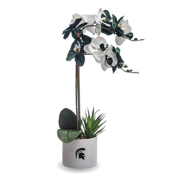 Forever Leaf Michigan State Faux Orchid Plant w/Ceramic Pot - FL05111MSU