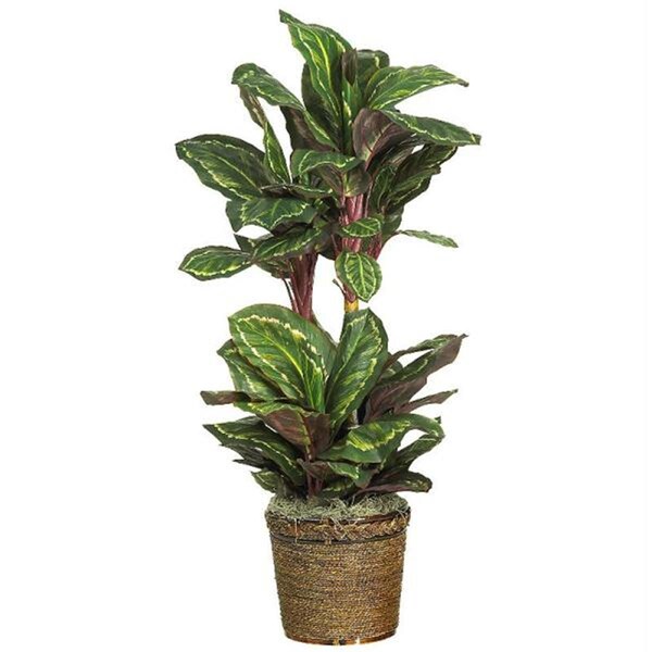 Nearly Natural 45 Inch Maranta Silk Plant - 6591-0308