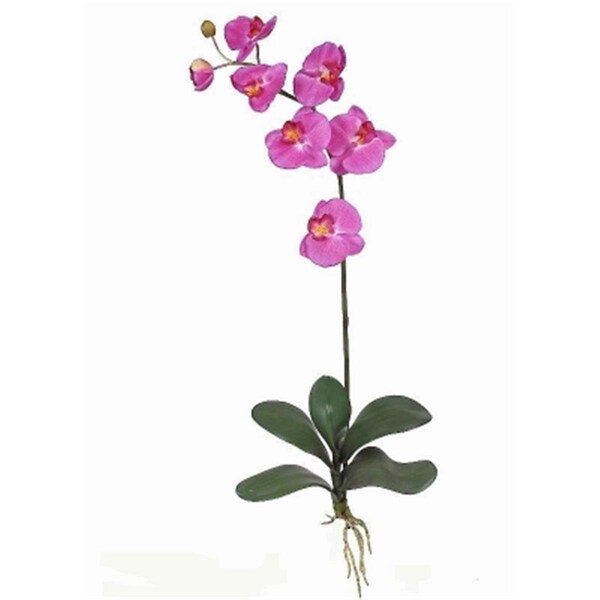Nearly Natural Phalaenopsis Silk Orchid Flower with Leaves 6 Stems - 2044-OR
