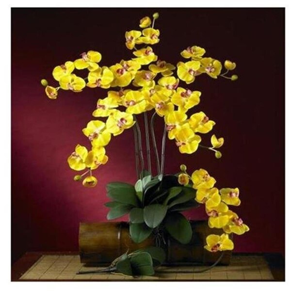 Dare2Decor Phalaenopsis Silk Orchid Flower with Leaves 6 Stems - DA2567011