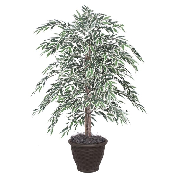 Dare2Decor 4 ft. Variegated Smilax Bush in Container Decorative Plant, Green, White - DA3260614