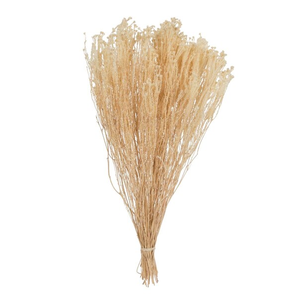 Vickerman 19 x 4 in. 3.5 oz Staavia Bunch Flowering Foliage, Bleached - H1SAA999