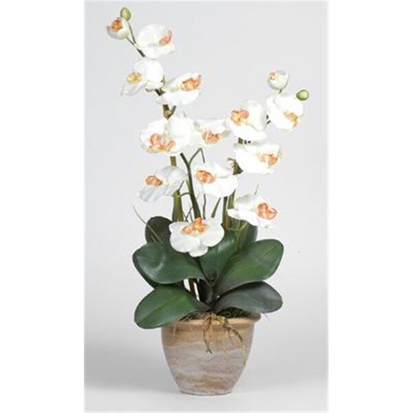 Nearly Natural Double Stem Phalaenopsis Silk Orchid Arrangement - 1026-CR