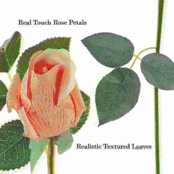 Nature Spring 24PC Artificial Rose Buds, Coral - 411614CUQ