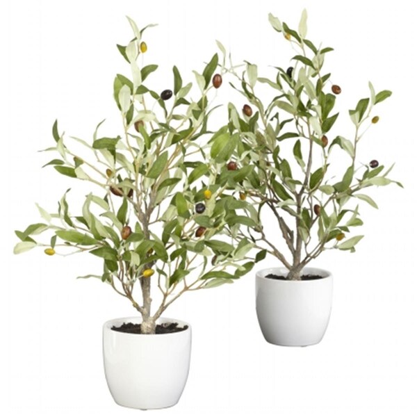 Dare2Decor 18 in. Olive Silk Tree with Vase -Set of 2, 2PK - DA103256