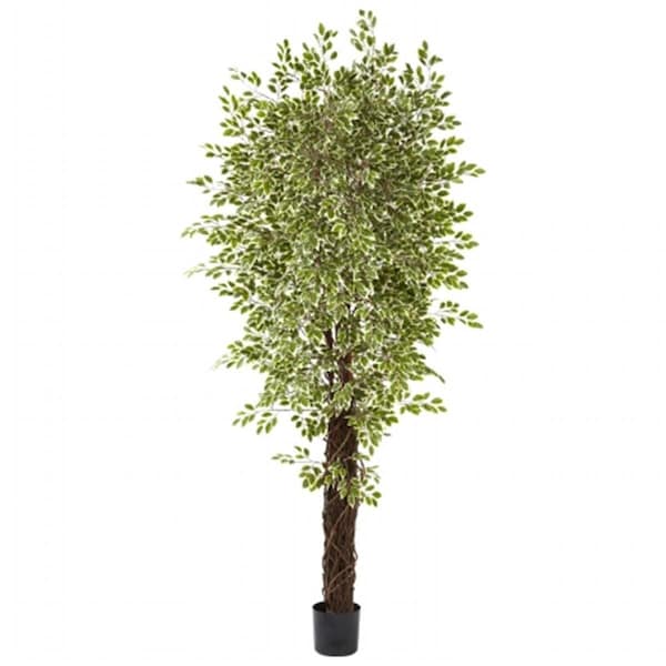 Nearly Natural 7.5 ft. Variegated Mini Ficus With 4131 Leaves - 5431