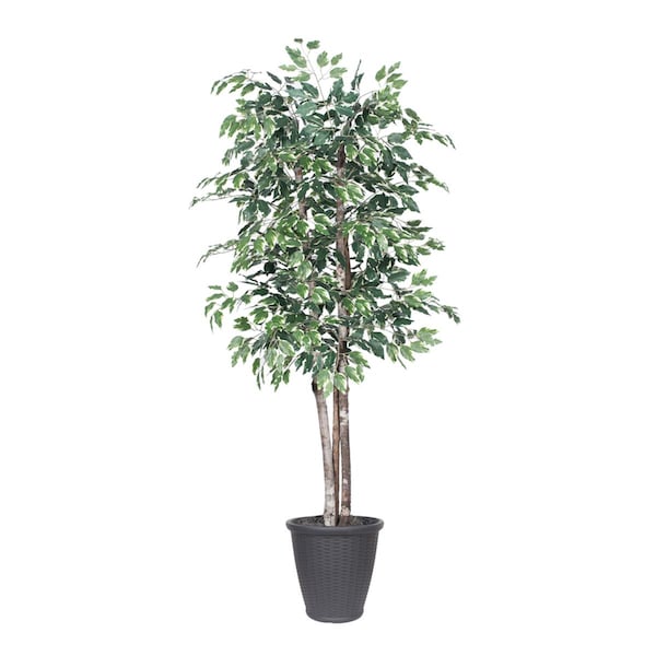 Dare2Decor 6 ft. Variegated Deluxe Round Grey Container Decorative Plant, Green & White - DA3254614