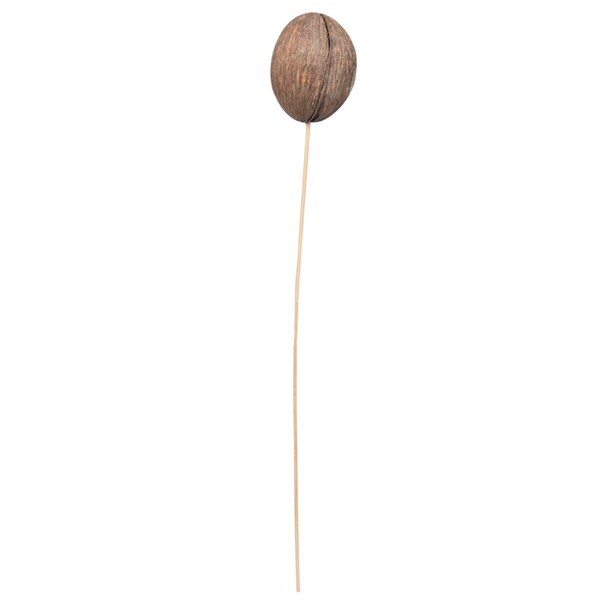 Vickerman 20 in. Mintola Ball on Stem Artificial Flowers, Natural, 25PK - H7MIB000
