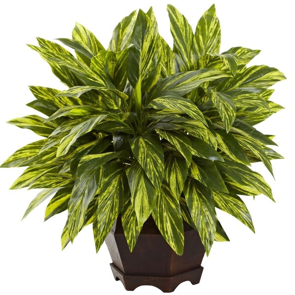 Dare2Decor Tradescantia with Wooden Hexagon Planter - DA3081324