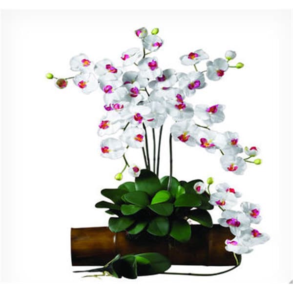 Nearly Natural 31.5 in. H White Phalaenopsis Stem - Pack of 12 - 2044-WH-12