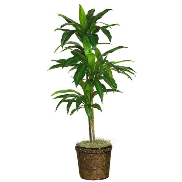 Nearly Natural 48 Inch Dracaena with Basket Silk Plant Real Touch - 6585-0308