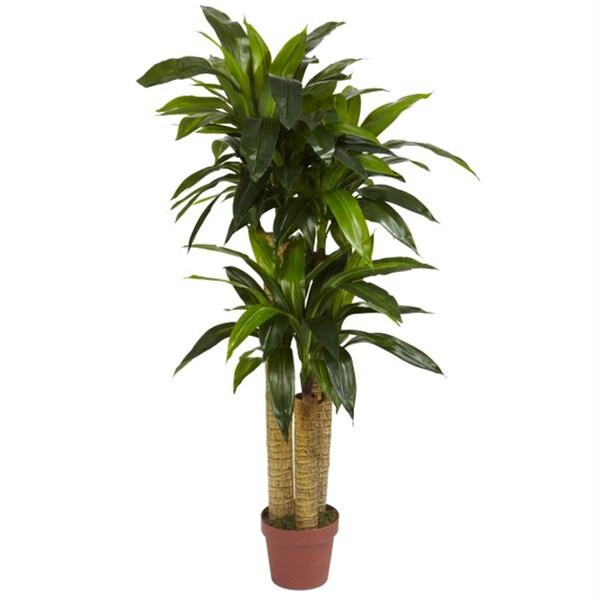 Nearly Natural Silk 4 ft. Corn Stalk Dracaena Silk Plant - Real Touch - - 6648