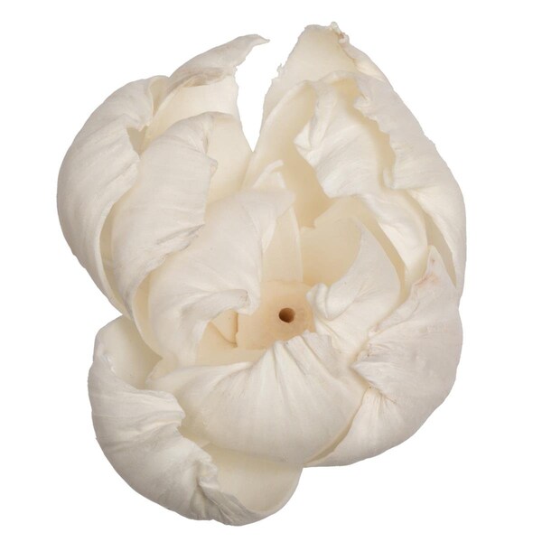 Dare2Decor 1-3 in. Assorted Peony Sola Head Artificial Flowers, Natural - 24 per Bag - DA3259034