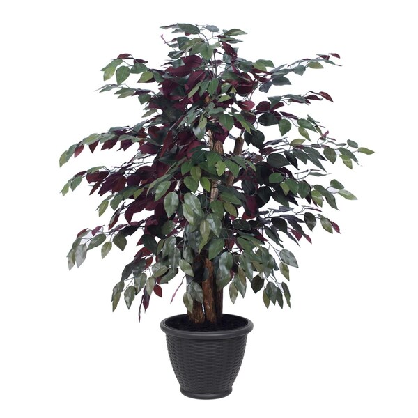 Dare2Decor 4 ft. Capensia Extra Full Bush in Gray Pot, Green & Red - DA3254998