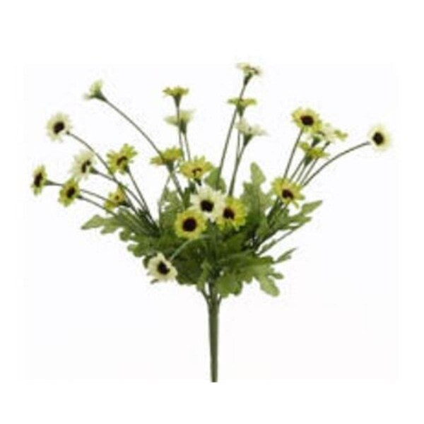 Allstate FBD515-GR-TT 10.5 in. Two Tone Green Daisy Bushes X5-, 24PK - FBD515-GR/TT