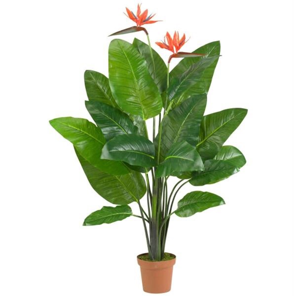 Dare2Decor Bird of Paradise Plant - Real Touch - DA403726