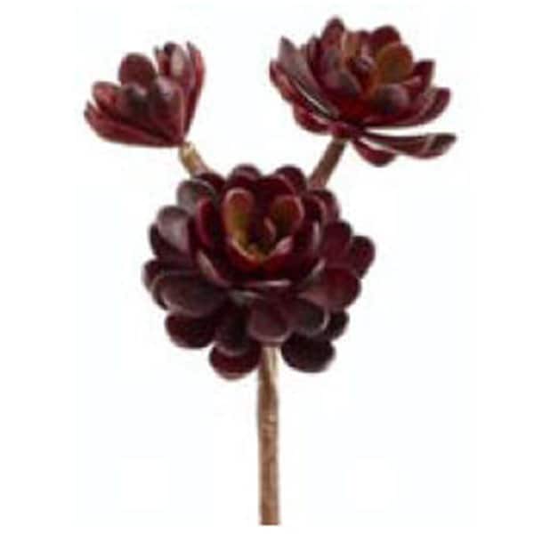 Allstate 10 in. Burgundy Hen-And-Chicks Stem X3-, 12PK - CM4125-BU