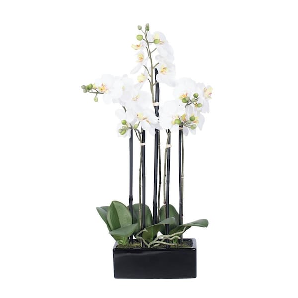 Vickerman 21 in. Potted Orchid x 5-White with Ceramic Container - FC170602